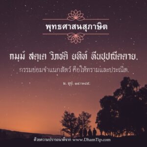 กรรมย่อมจำแนกสัตว์ คือให้ทรามและประณีต