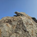 เปิดตำนาน เขาคิชฌกูฏ (Vulture's Peak) แห่งราชคฤห์: ตามรอยพระพุทธเจ้าสู่ยอดเขาแห่งปัญญา