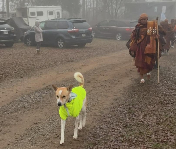 Aloka "สุนัขสี่ขาผู้จาริกสันติภาพ" ช่วยขับเคลื่อน Walk for Peace 2026 ได้อย่างไร?