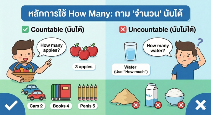 หลักการใช้ How Many: ถาม "จำนวน" นับได้อย่างไรให้ถูกต้อง?