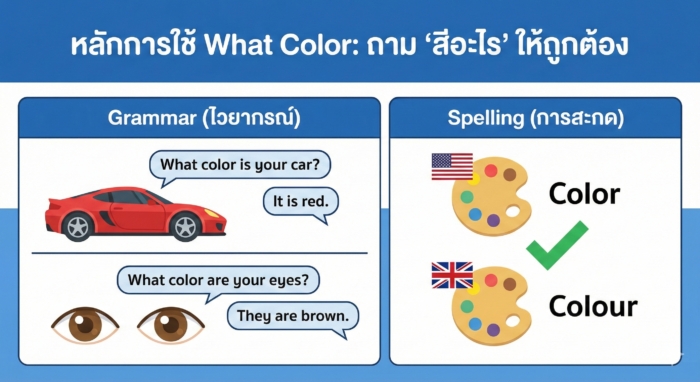 หลักการใช้ What Color: ถาม "สีอะไร" ให้ถูกต้อง (แบบเข้าใจง่าย)