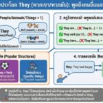 หลักการแต่งประโยค They (พวกเขา/พวกมัน): พูดถึงคนอื่นและสิ่งของให้ถูกวิธี