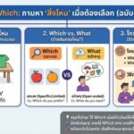 หลักการใช้ Which: ถามหา "สิ่งไหน" เมื่อต้องเลือก (ฉบับเข้าใจง่าย)