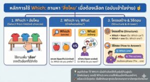 หลักการใช้ Which: ถามหา "สิ่งไหน" เมื่อต้องเลือก (ฉบับเข้าใจง่าย)